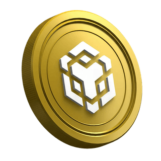 Binance BNB cryptocurrency coin shown on new trader guide page